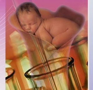 Costa Rica, Fecundaci�n in Vitro