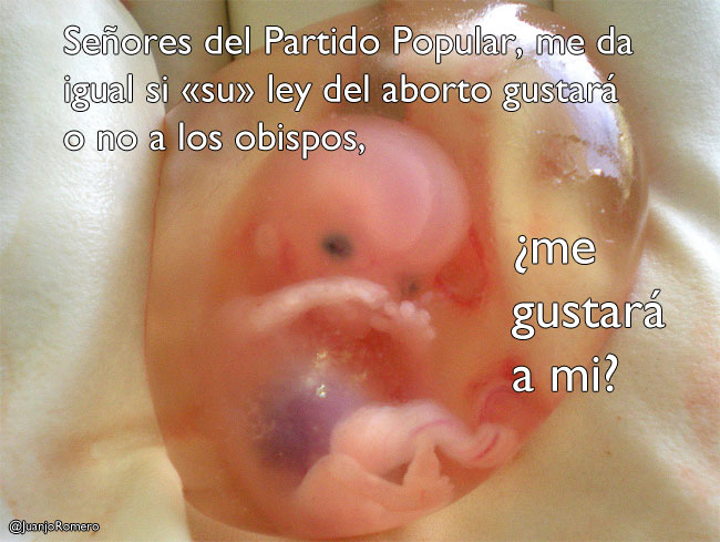 Se�ores del Partido Popular, da igual si les gusta o no a los obispos, �me gustar� a mi la ley del aborto?